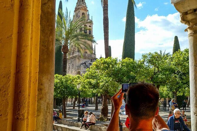 Private tour to Córdoba from Seville (several options) - What Reviewers Say