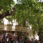 Private Tour to Delphi ! from Volos - Who Will Love This Tour?