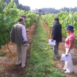 Private Tour to Melgaço and Monção, the heart of the Alvarinho region - Why This Tour Works for Travelers