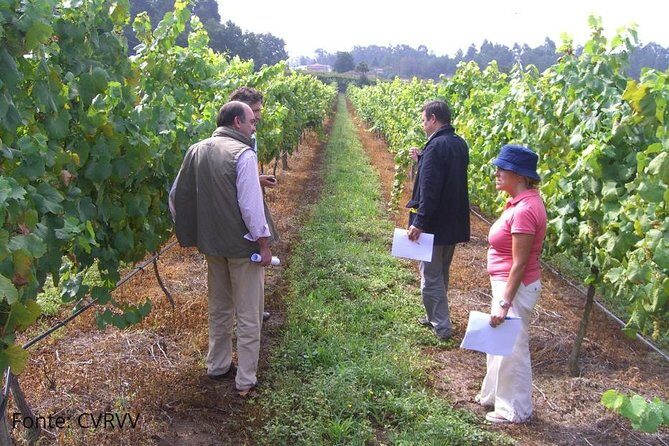 Private Tour to Melgaço and Monção, the heart of the Alvarinho region - Why This Tour Works for Travelers