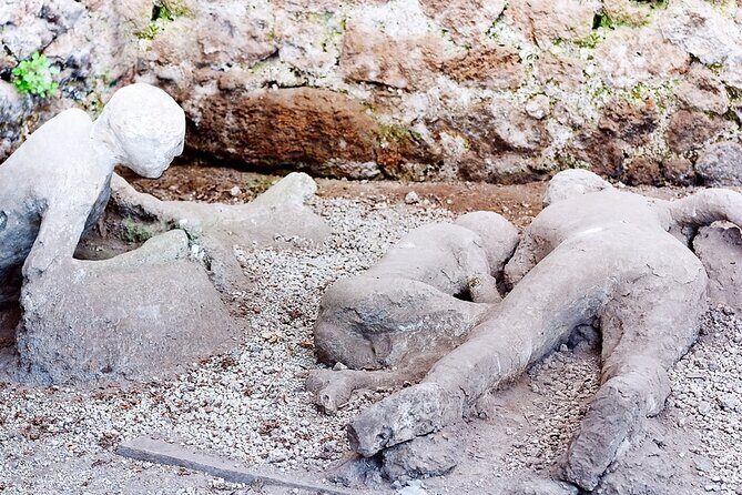 Private Tour to Pompei Sorrento and Positano with English speaking Driver/Guide - Analyzing the Value