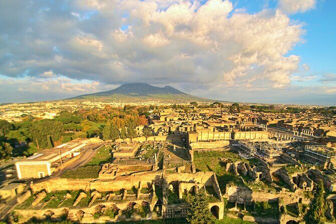 Private tour to Pompeii from Rome: Driver and guide in Pompeii (tickets inc) - Analyzing the Value