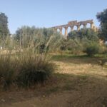 Private Tour to Segesta, Erice and Wine Tasting in Marsala - Final Thoughts: Is This Tour Worth It?