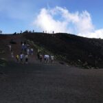 Private Tour to Taormina and Isola Bella - Who Would Love This Tour?