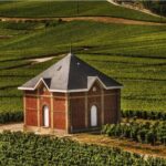 Private Tour to the best Champagne Wineries from Paris - The Value of the Experience