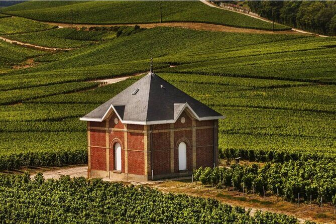 Private Tour to the best Champagne Wineries from Paris - The Value of the Experience