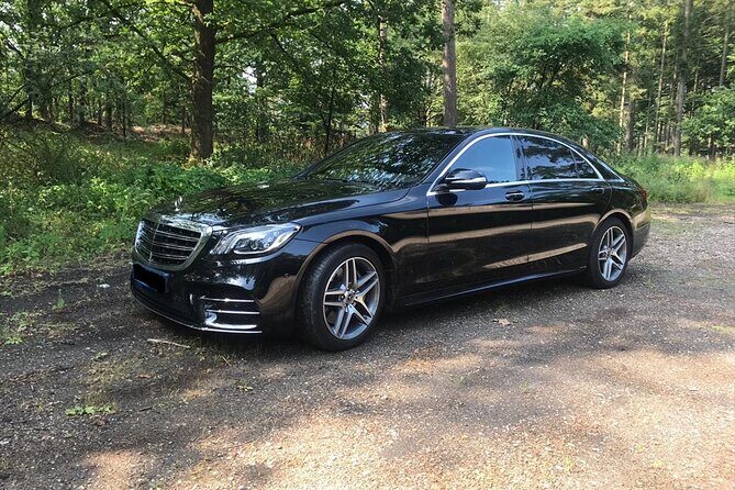 Private tour to The Hague and Delft Blue Potteries from Amsterdam - FAQs