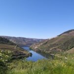 Private Tour to the rock art of Côa Park, Pinhão and Winery - Transportation, Timing, and Overall Value