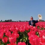 Private Tour to Windmills Zaanse Schans +Keukenhof - 7 Hours - The Sum Up