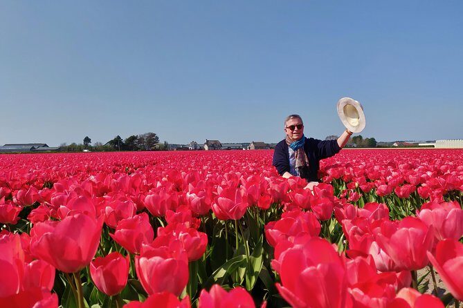 Private Tour to Windmills Zaanse Schans +Keukenhof - 7 Hours - The Sum Up