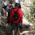 Private Tour: Truffle-Hunting Experience from Amalfi Coast with Lunch - Analyzing Value and Practicalities