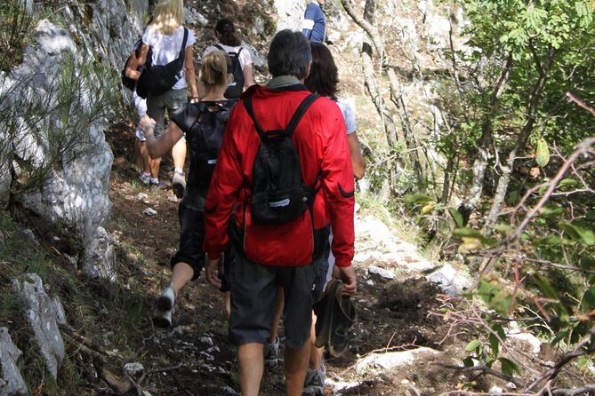 Private Tour: Truffle-Hunting Experience from Amalfi Coast with Lunch - Analyzing Value and Practicalities
