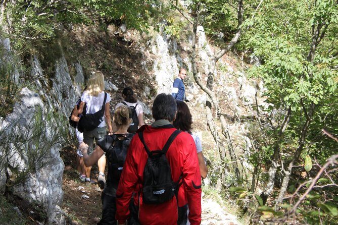Private Tour: Truffle-Hunting Experience from Sorrento with Lunch - A Deep Dive Into the Truffle-Hunting Tour