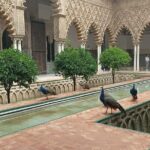 Private Tour with Local Guide to know the Seville Essential - Who Should Consider This Tour?