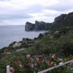 Private Tours | Amalfi coast & Pompeii Ruins - An In-Depth Review of the Amalfi Coast & Pompeii Tour