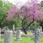 Private Tour:Visit of Agricultural Farm and free time in Olympia - Who Should Book This Tour?