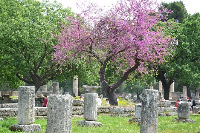 Private Tour:Visit of Agricultural Farm and free time in Olympia - Who Should Book This Tour?