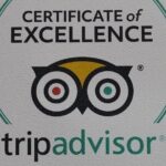 Private Transfer Arrival or Departure Heathrow Airport/ London - What to Expect: An In-Depth Look