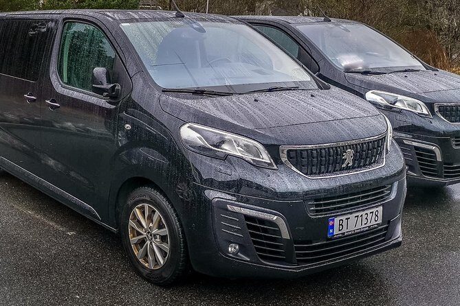Private Transfer Bergen - Voss 4-6 pax - Why Choose This Transfer?
