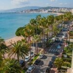 Private transfer by car: Marseille airport from or to Nice / Cannes - Who Is This Transfer Best For?