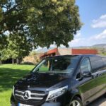 Private Transfer from Barcelona City to the Port (or vice versa) - Who Is This Transfer Best For?