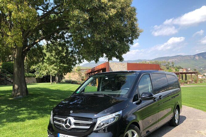 Private Transfer from Barcelona City to the Port (or vice versa) - Who Is This Transfer Best For?