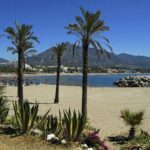 Private Transfer from Malaga airport (AGP) to Fuengirola - Why This Transfer Works Well
