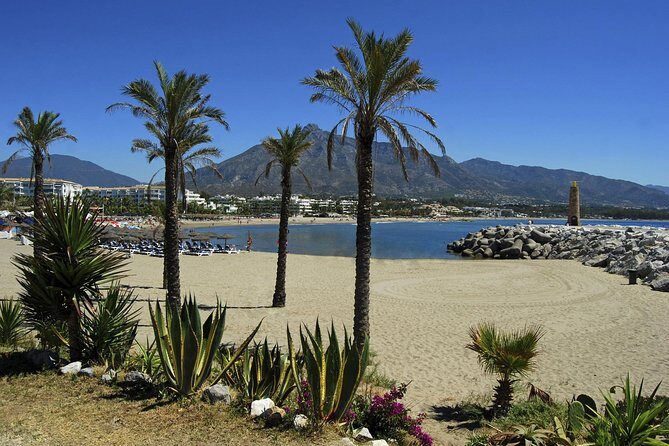 Private Transfer from Malaga airport (AGP) to Fuengirola - Why This Transfer Works Well