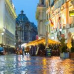 Private Transfer from Sofia City to Sofia (SOF) Airport - Detailed Breakdown of the Experience