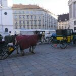 Private Transfer from Venice to Vienna or Vienna to Venice - Who Should Consider This?