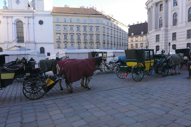 Private Transfer from Venice to Vienna or Vienna to Venice - Who Should Consider This?