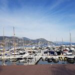 Private Transfer Nice Airport to Beaulieu-sur-Mer or Cap-Ferrat - Who Will Love This Transfer?