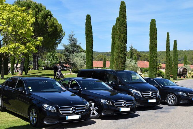 Private Transfer Nice or Nice Airport (NCE) to La Croix-Valmer - Why Choose This Private Transfer? An In-Depth Look