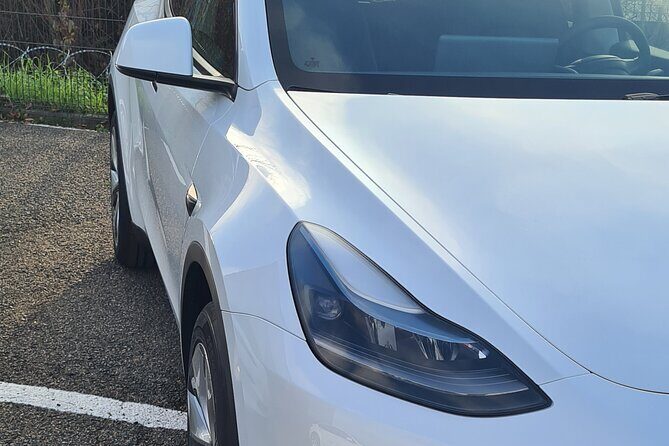 Private Transfer: Orly Airport  Paris - Pricing and Value