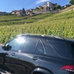 Private transfer Zurich to Basel (1-6 persons) - What to Expect During Your Transfer