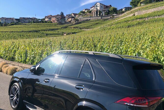 Private transfer Zurich to Basel (1-6 persons) - What to Expect During Your Transfer