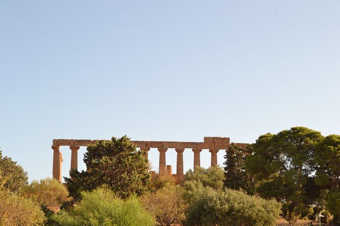 Private transportation to the Valley of the Temples + Agrigento - Final Thoughts: Who Will Love This Experience?
