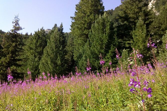 Private Trekking in Rila Mountains and Mt Mousala from Sofia - Value for Money and Additional Expenses