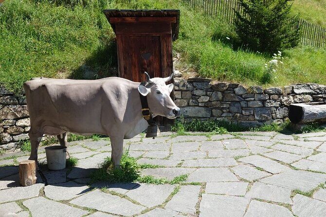 Private Trip to Heidi World Family Day from Zurich - Practical Details and Considerations