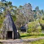 Private Trip to Latvian Open-Air Museum and Riga Motor Museum - What to Expect During the Tour