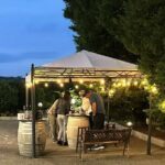 Private Trip to the Vineyards of Ginosa with tasting from Matera - An In-Depth Look at the Tour Experience