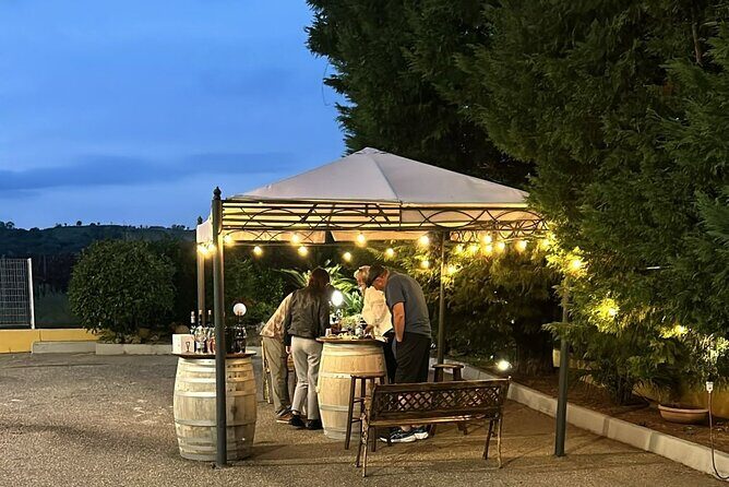 Private Trip to the Vineyards of Ginosa with tasting from Matera - An In-Depth Look at the Tour Experience