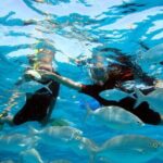 Private trips to Lobos Island in Catamaran Lagoon 421 - Final Thoughts