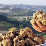 Private Truffle Hunt in Tuscany - Tasting and Relaxation: The Reward