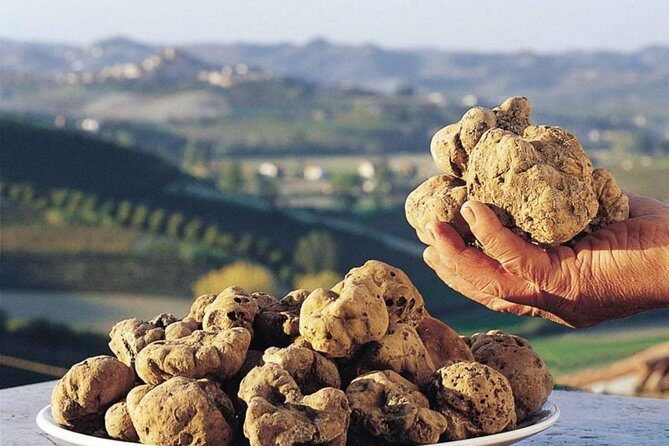 Private Truffle Hunt in Tuscany - Tasting and Relaxation: The Reward