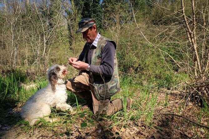 Private Truffle Hunting in Chianti - The Truffle Hunt