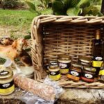 Private Truffle Hunting in Slovenia with meal - Zdenko Tartufi - Authenticity, Value, and Who It’s Best For