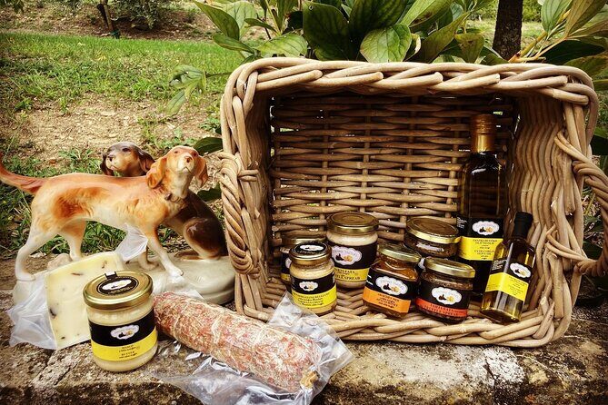 Private Truffle Hunting in Slovenia with meal - Zdenko Tartufi - Authenticity, Value, and Who It’s Best For