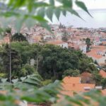 Private Tuk Tuk Tour to Old Town + Monte in Funchal - Detailed Breakdown of the Itinerary