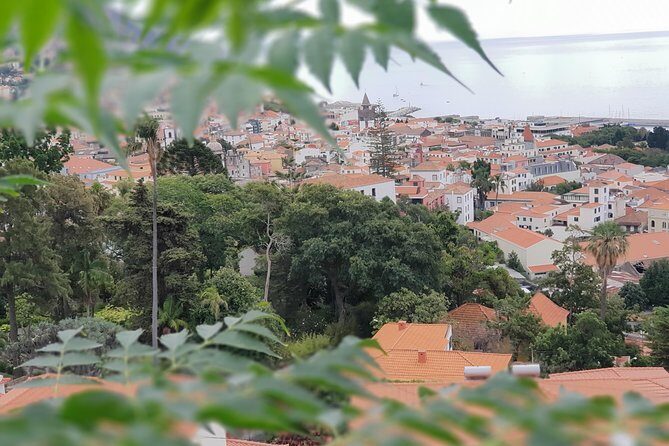 Private Tuk Tuk Tour to Old Town + Monte in Funchal - Detailed Breakdown of the Itinerary
